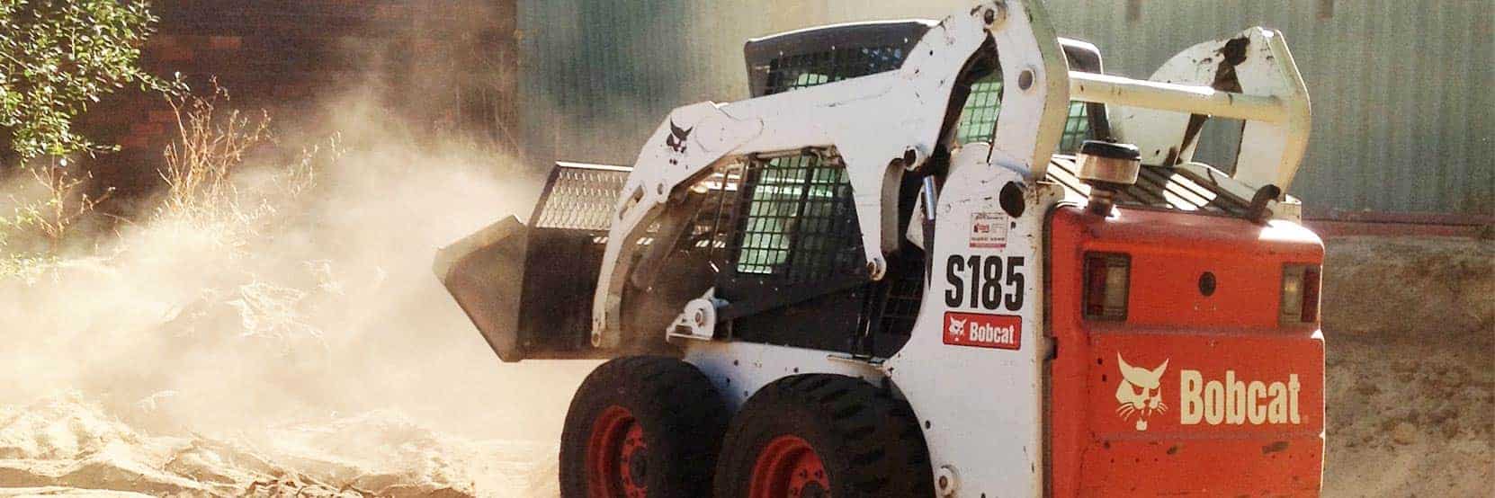 A bobcat on a residential site